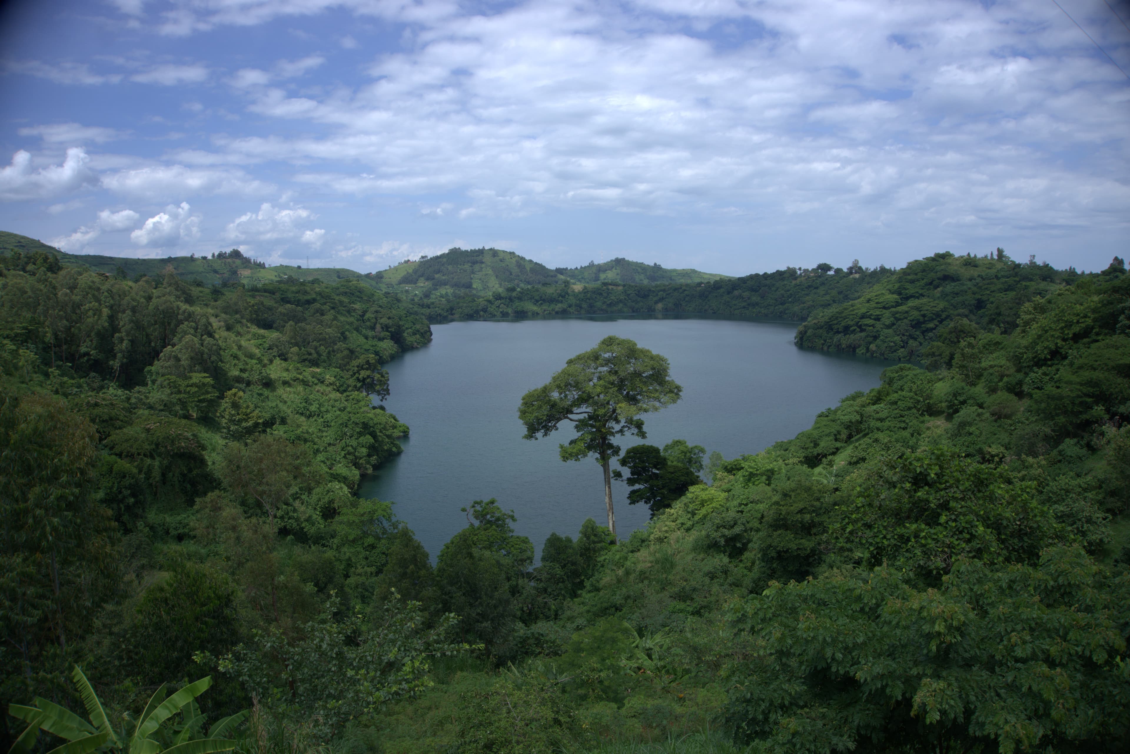 A scenic banner image of terraced farms.